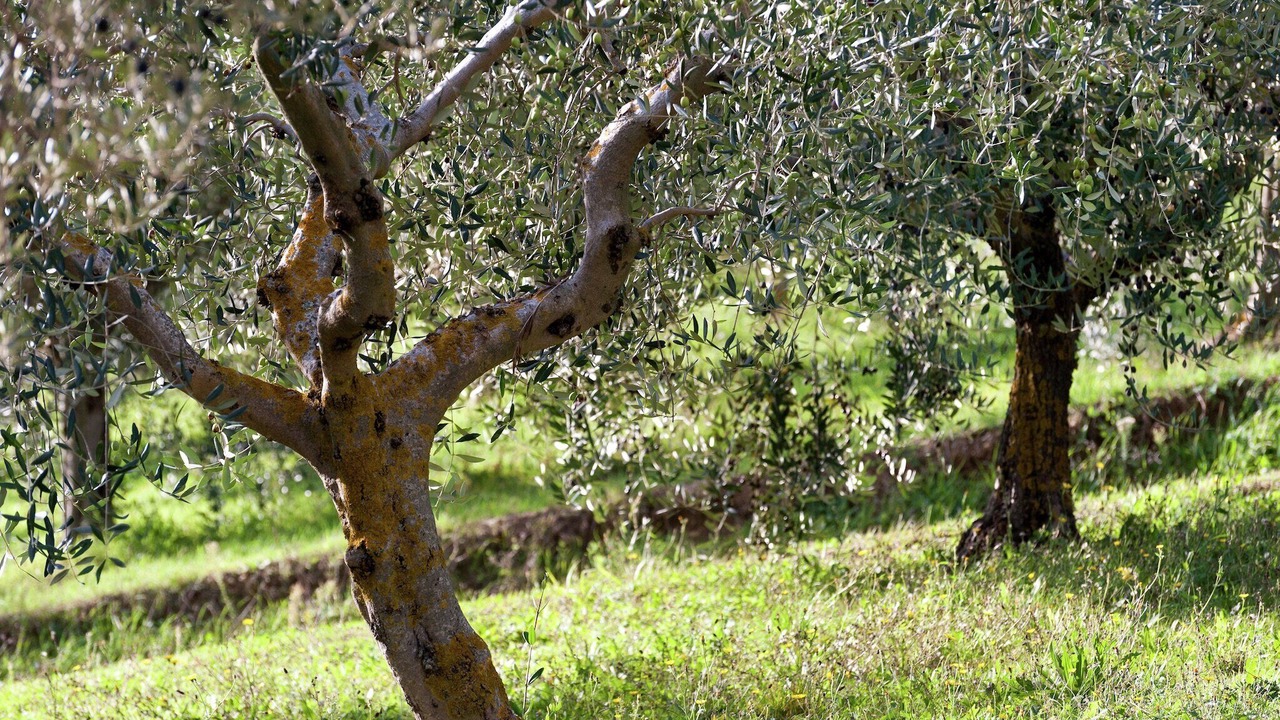 Photo of Others in Giano dell'Umbria