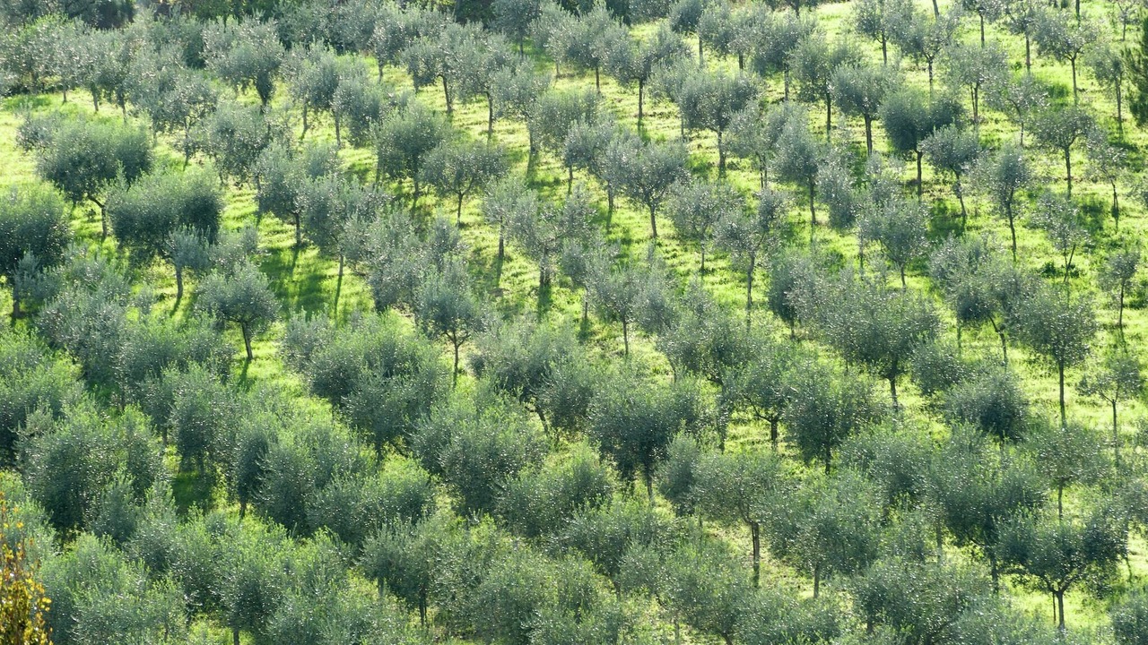 Photo of Others in Giano dell'Umbria