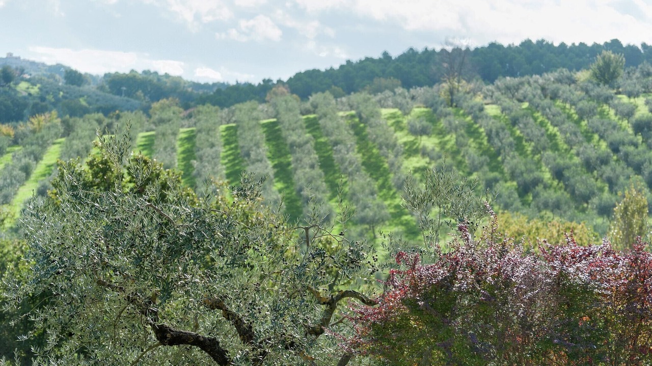 Photo of Others in Giano dell'Umbria