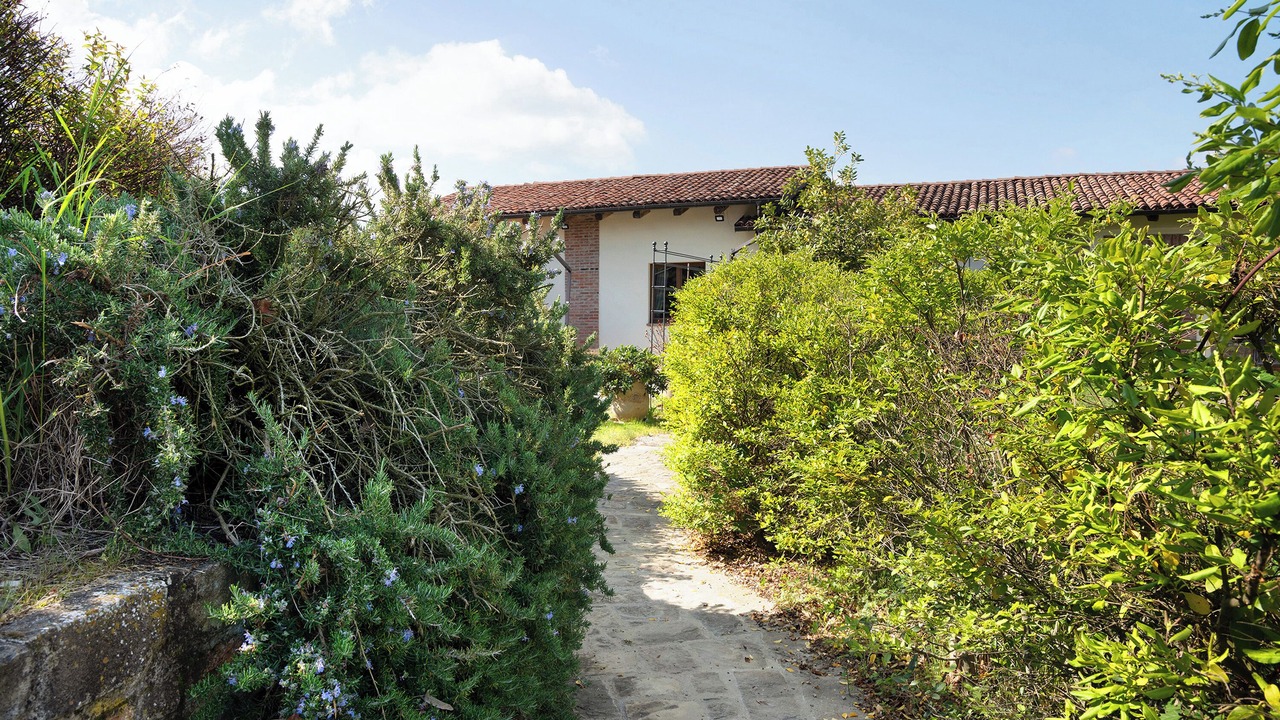 Photo of Outdoor in Cerretto Langhe