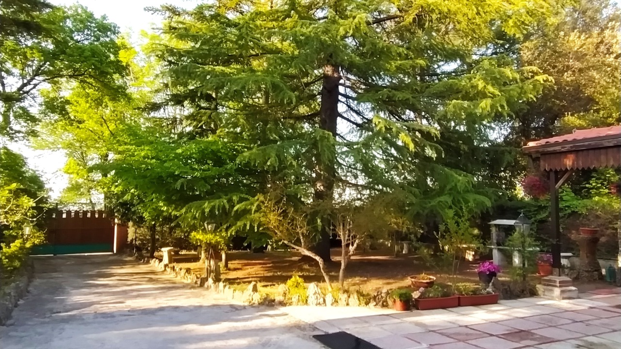 Photo of Outdoor in Rapino