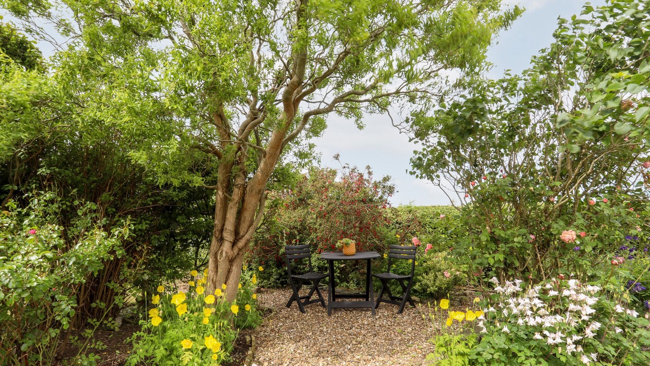 Photo of Outdoor in Bryngwran