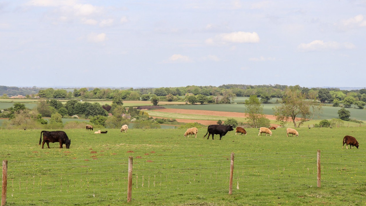 Photo of Others in Chipping Norton
