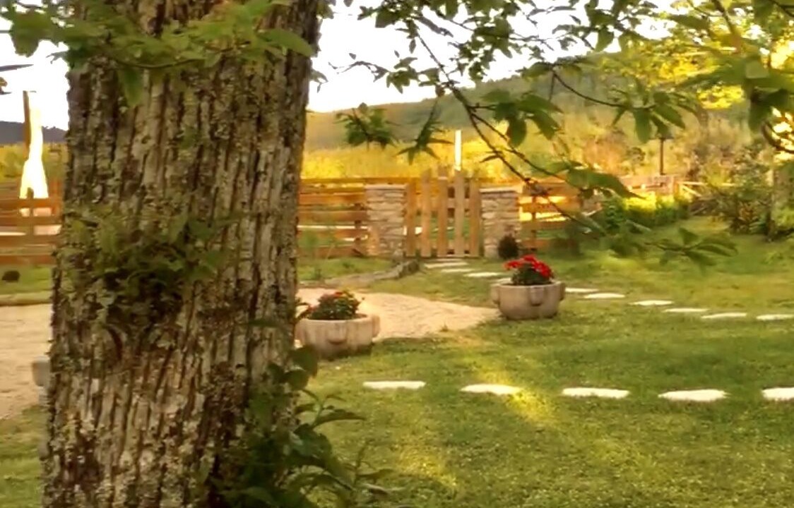 Photo of Outdoor in Monticiano