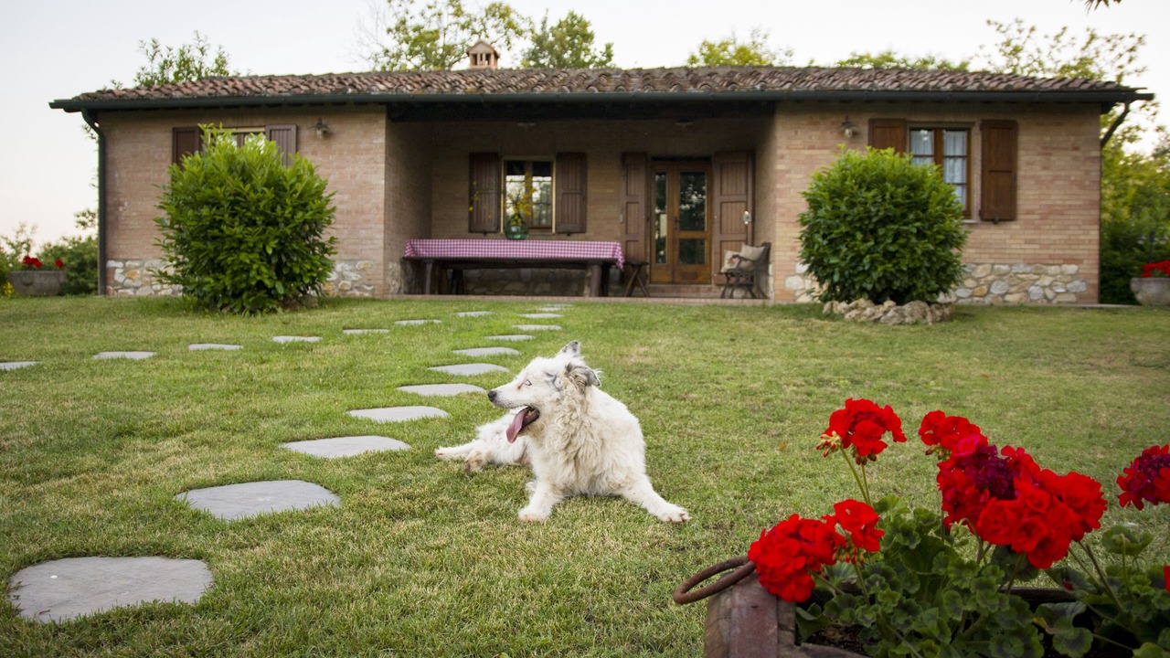 Photo of Outdoor in Monticiano
