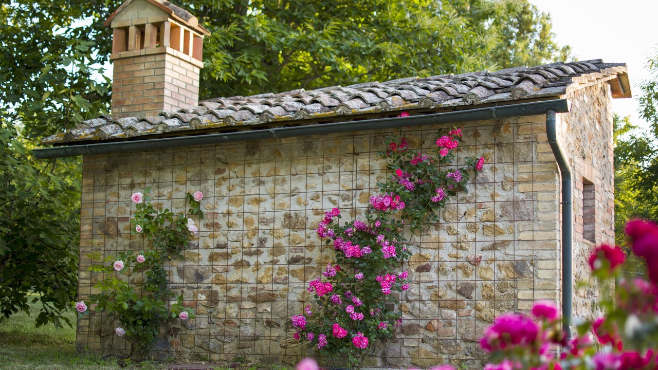 Photo of Outdoor in Monticiano