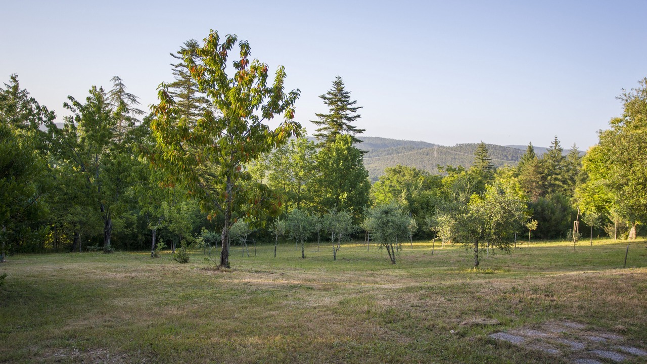 Photo of Outdoor in Monticiano