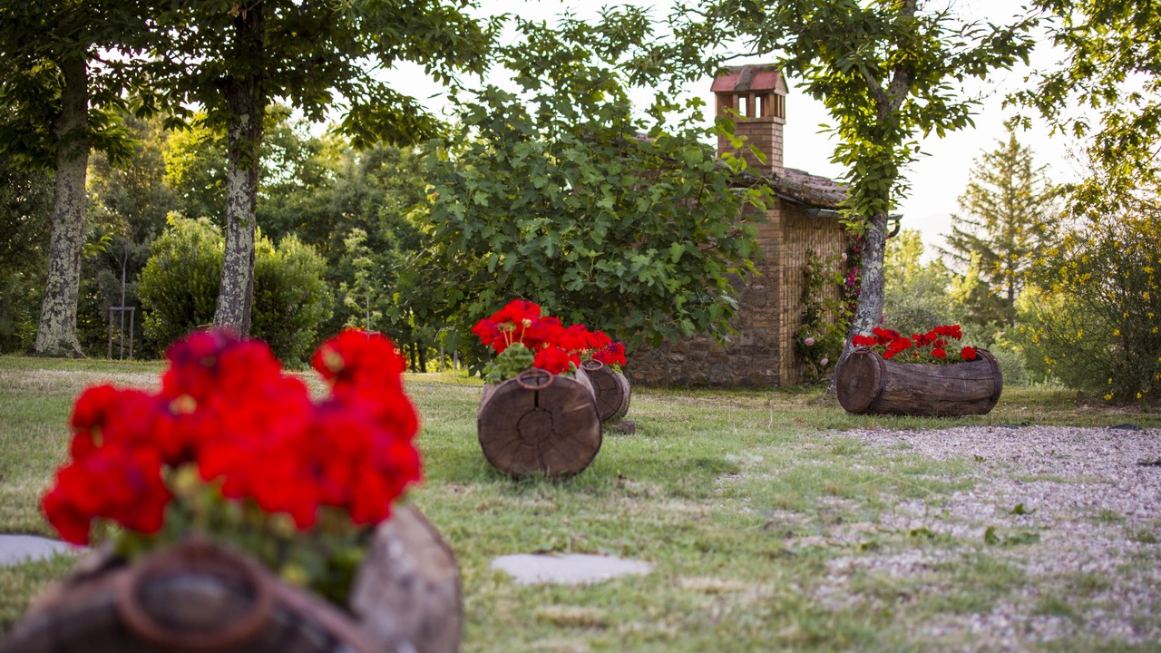 Photo of Outdoor in Monticiano
