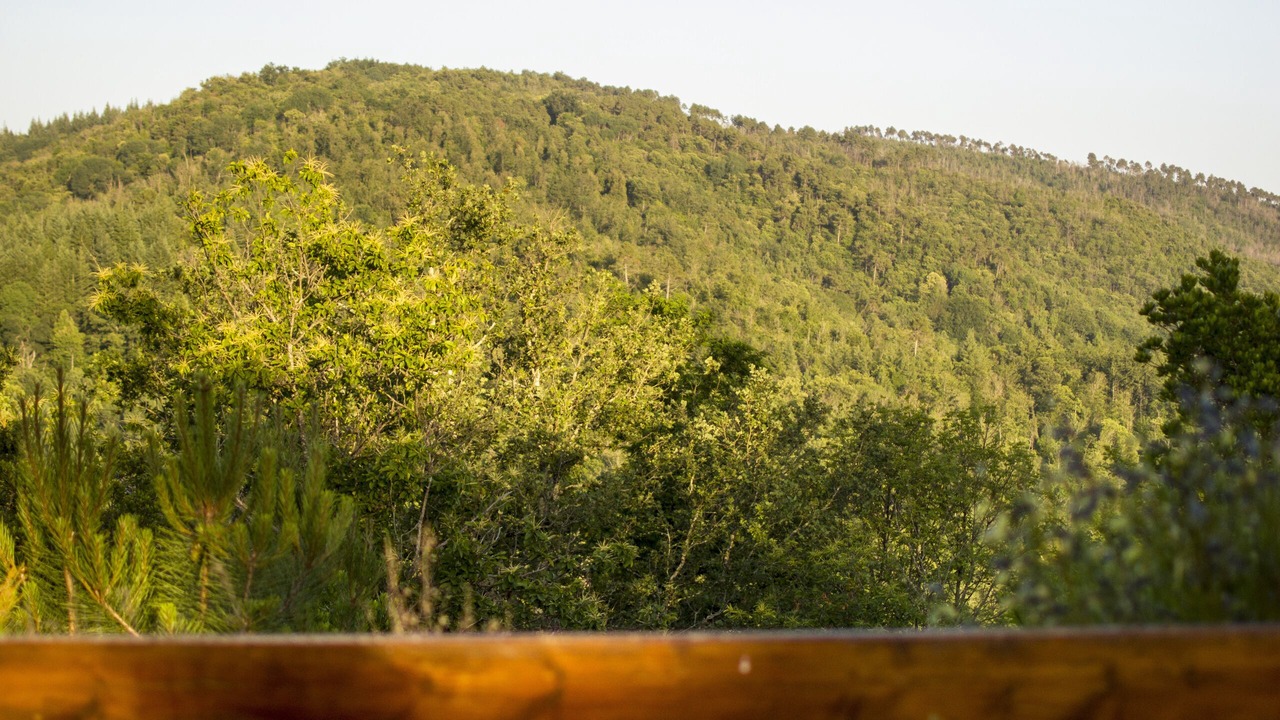 Photo of Others in Monticiano