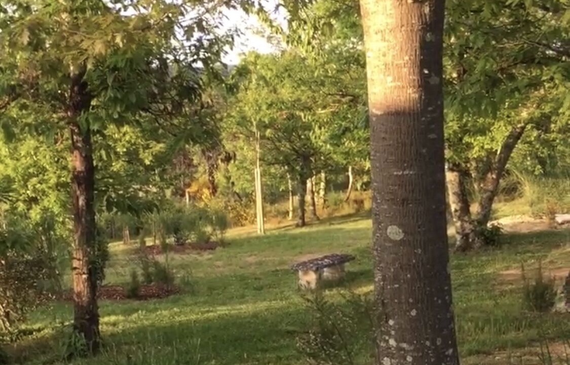 Photo of Outdoor in Monticiano