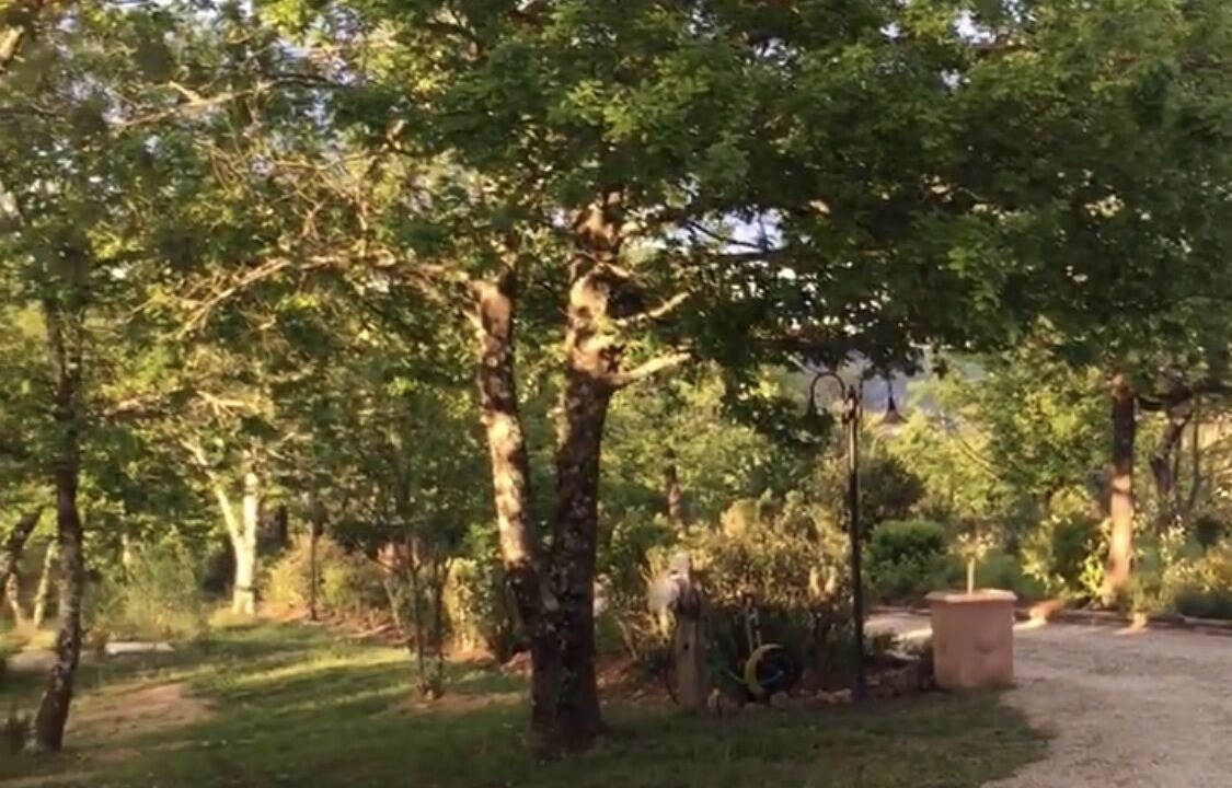 Photo of Outdoor in Monticiano