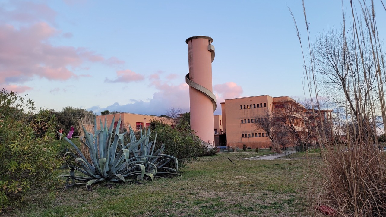 Photo of Outdoor in Calambrone
