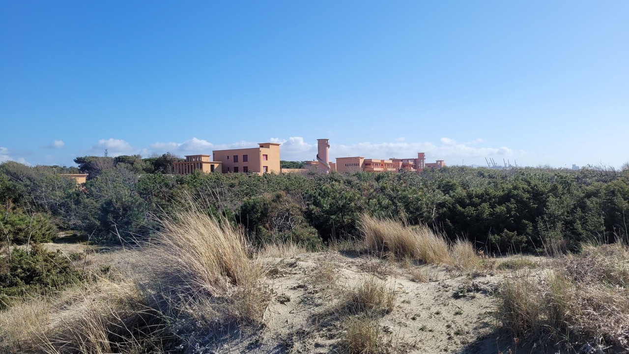 Photo of Outdoor in Calambrone