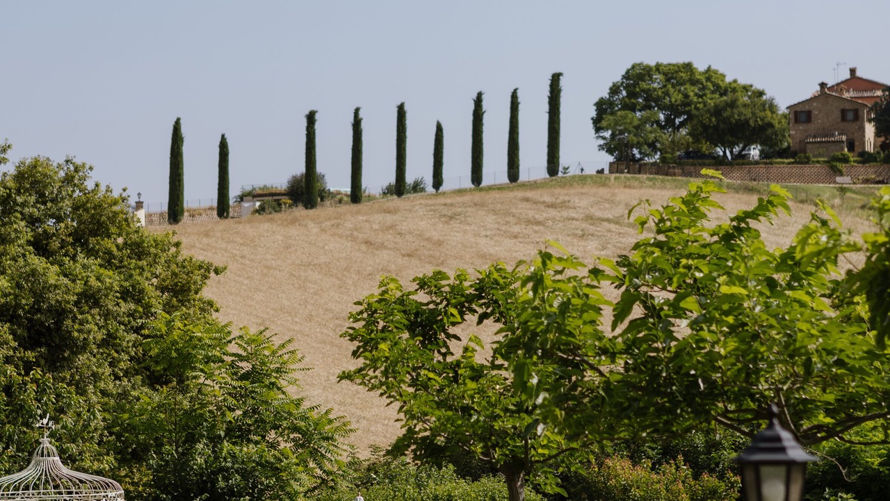 Photo of Outdoor in Treia