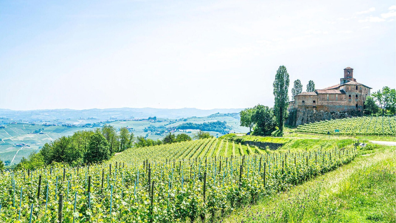 Photo of Others in Vignale Monferrato