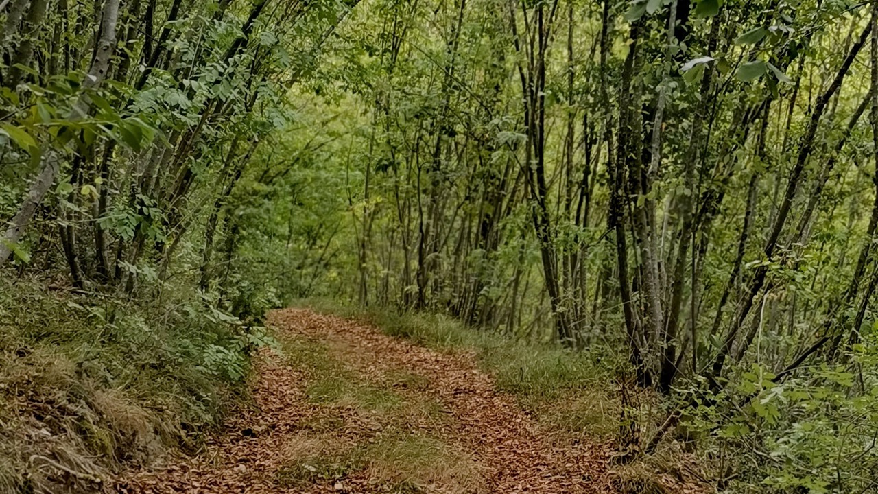 Photo of Outdoor in Rignano sull'Arno