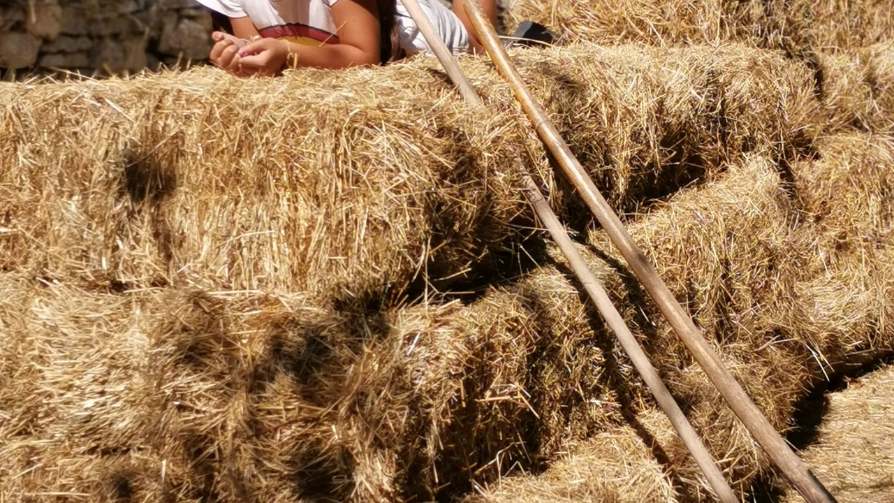 Photo of Outdoor in Rignano sull'Arno