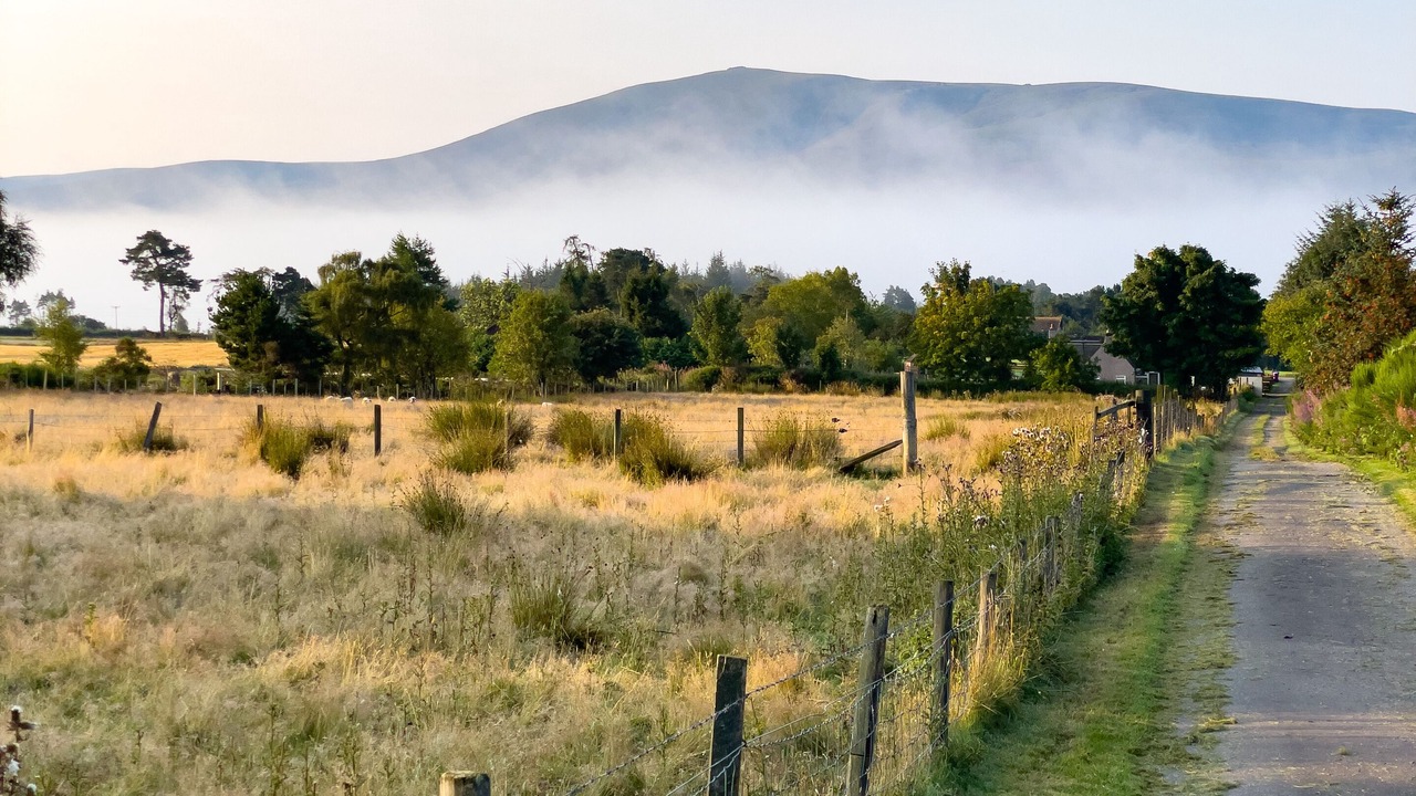 Photo of Outdoor in Archiestown