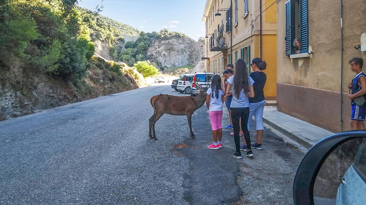 Photo of Others in Montevecchio