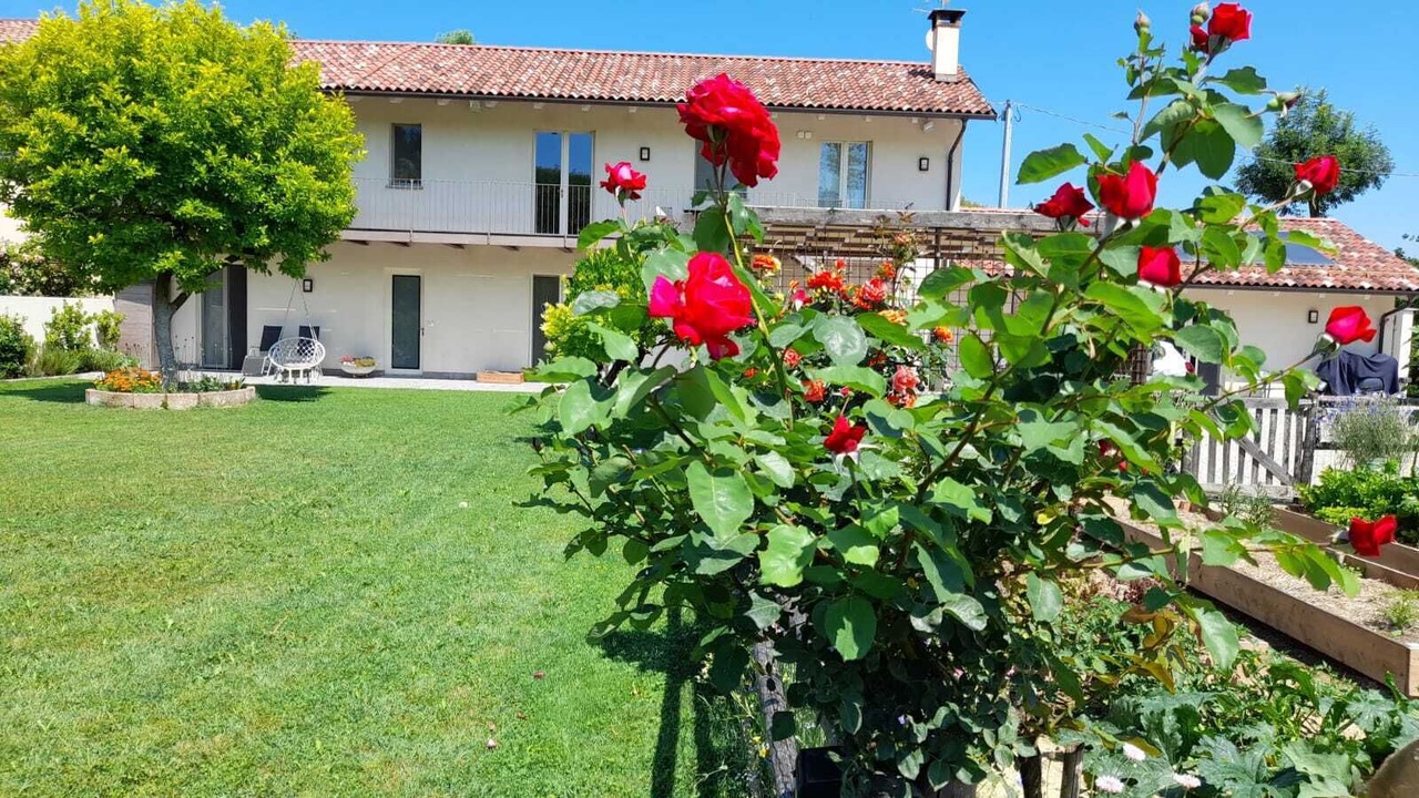 Photo of Outdoor in Alba