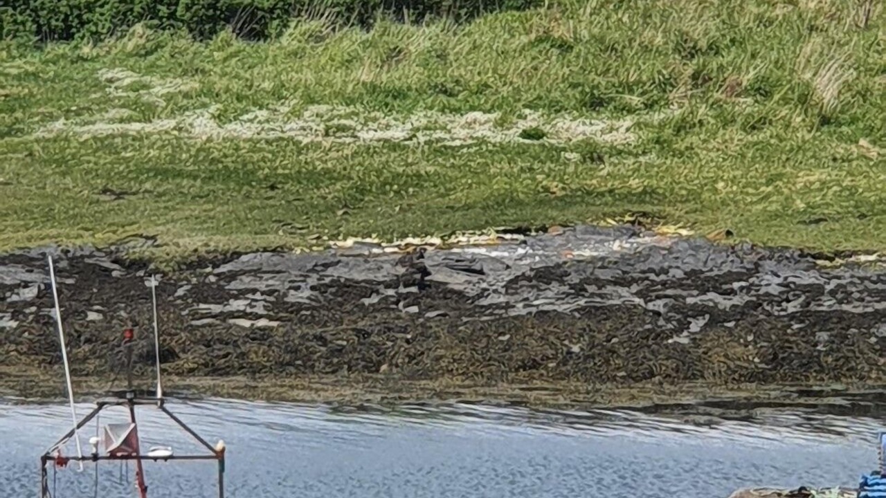 Photo of Others in Slate Islands