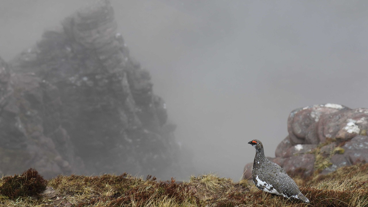 Photo of Others in Clachtoll