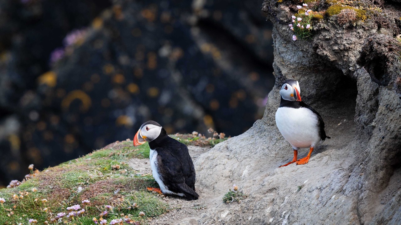 Photo of Others in Clachtoll