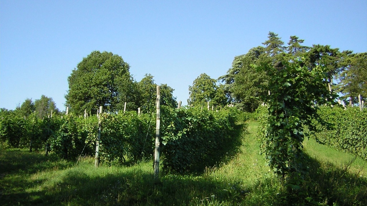 Photo of Outdoor in Viano