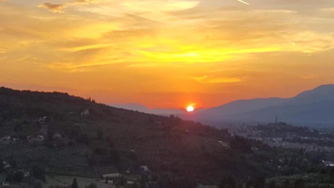Photo of Others in Arezzo