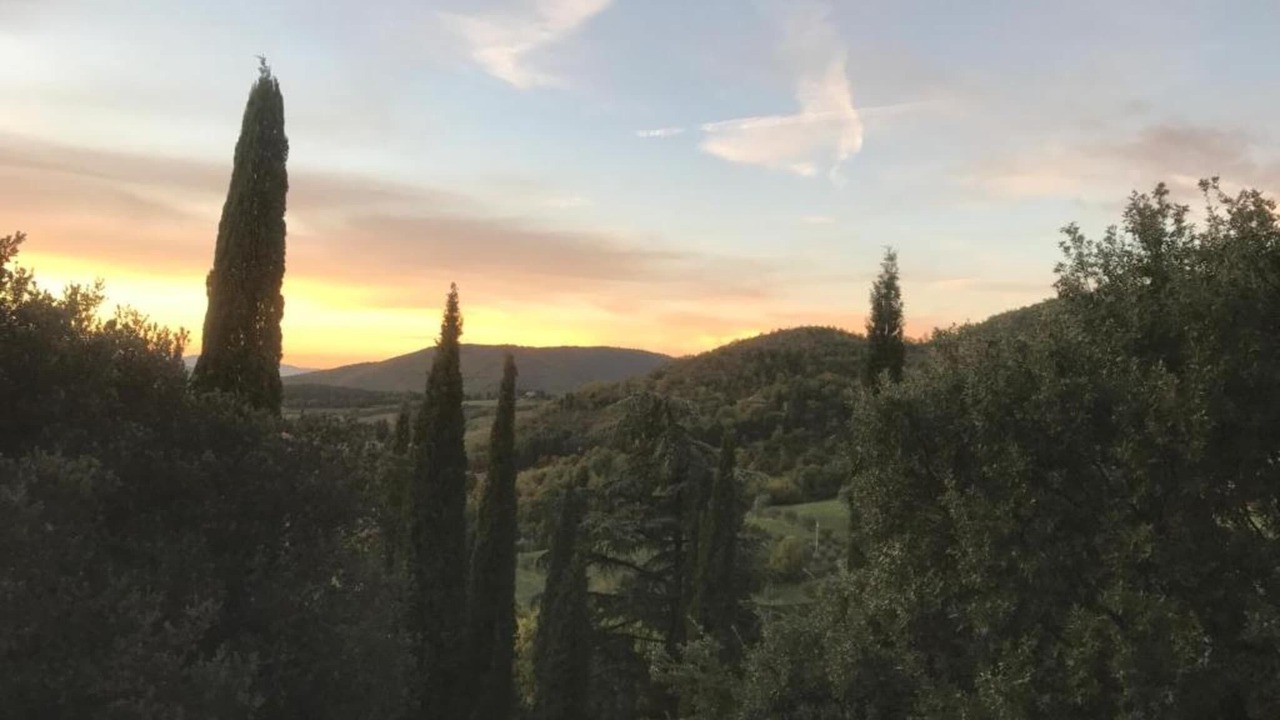 Photo of Others in Arezzo