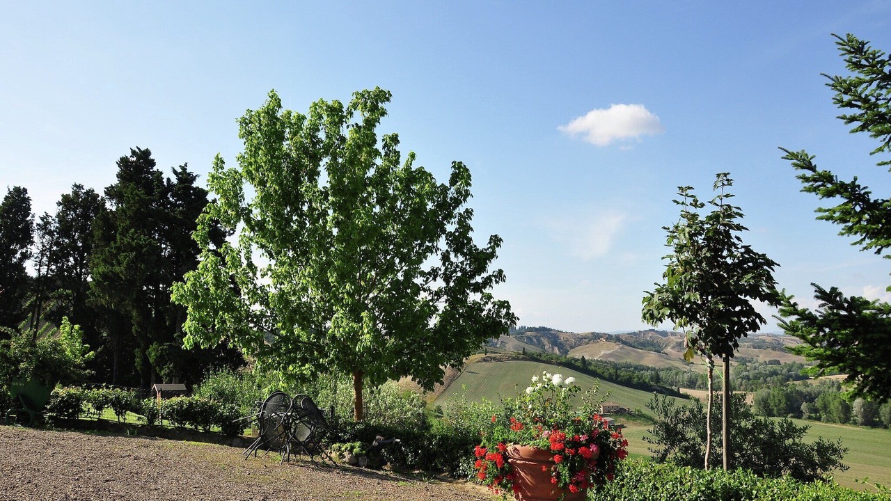 Photo of Others in Bollano