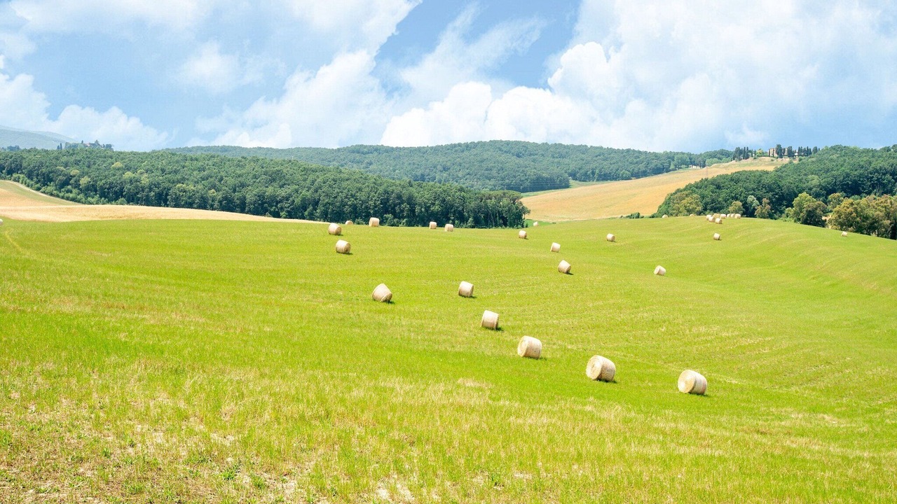 Photo of Others in Collesalvetti