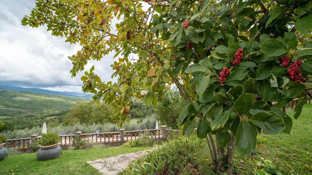 Photo of Outdoor in Caprese Michelangelo