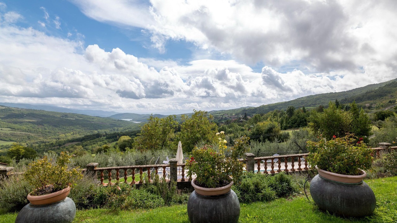 Photo of Others in Caprese Michelangelo