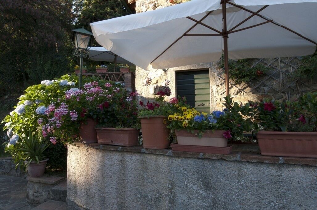 Photo of Outdoor in Nozanno