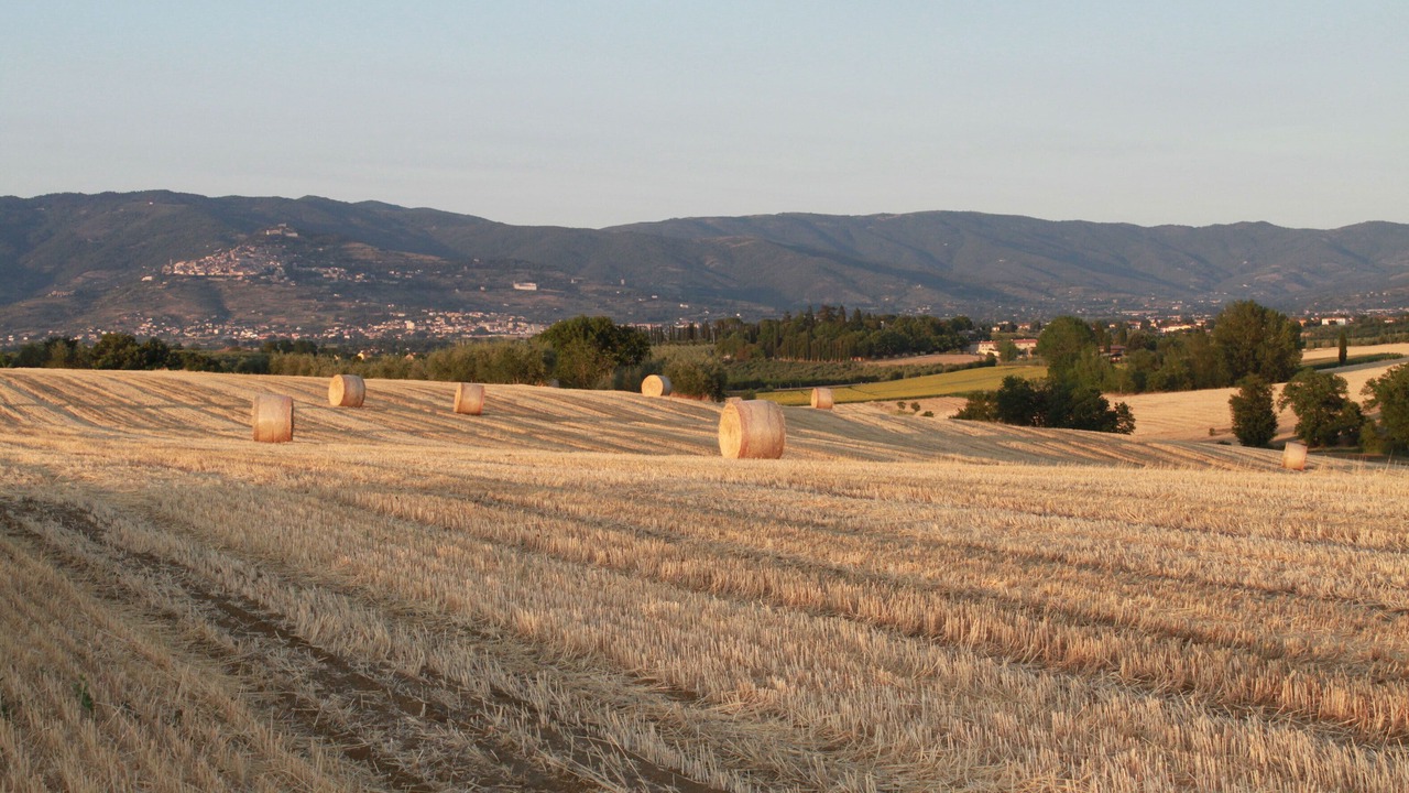 Photo of Others in Cortona