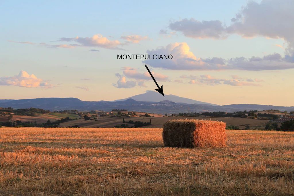 Photo of Others in Cortona