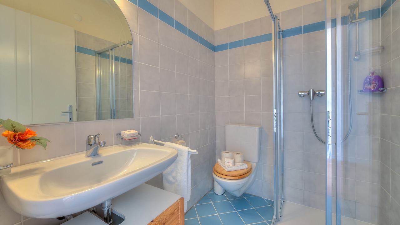 Photo of Bathroom in Castagnola