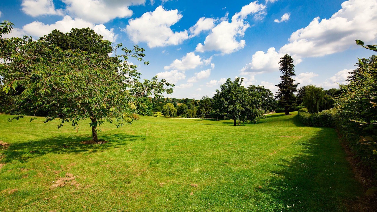 Photo of Others in Great Tew
