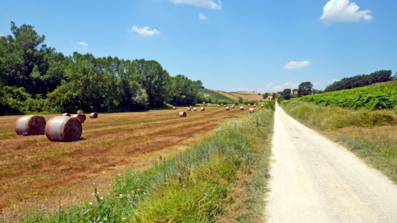 Photo of Others in Certaldo