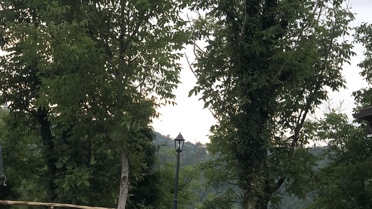 Photo of Outdoor in Rocca Santo Stefano