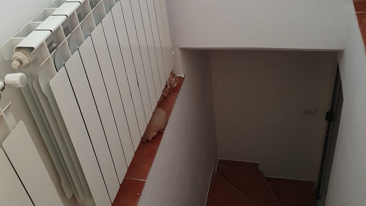 Photo of Others in Capalbio