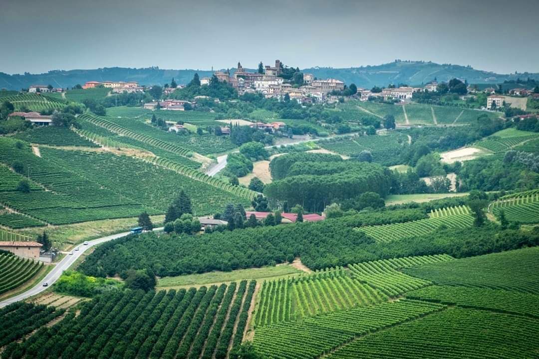 Photo of Outdoor in Bonvicino