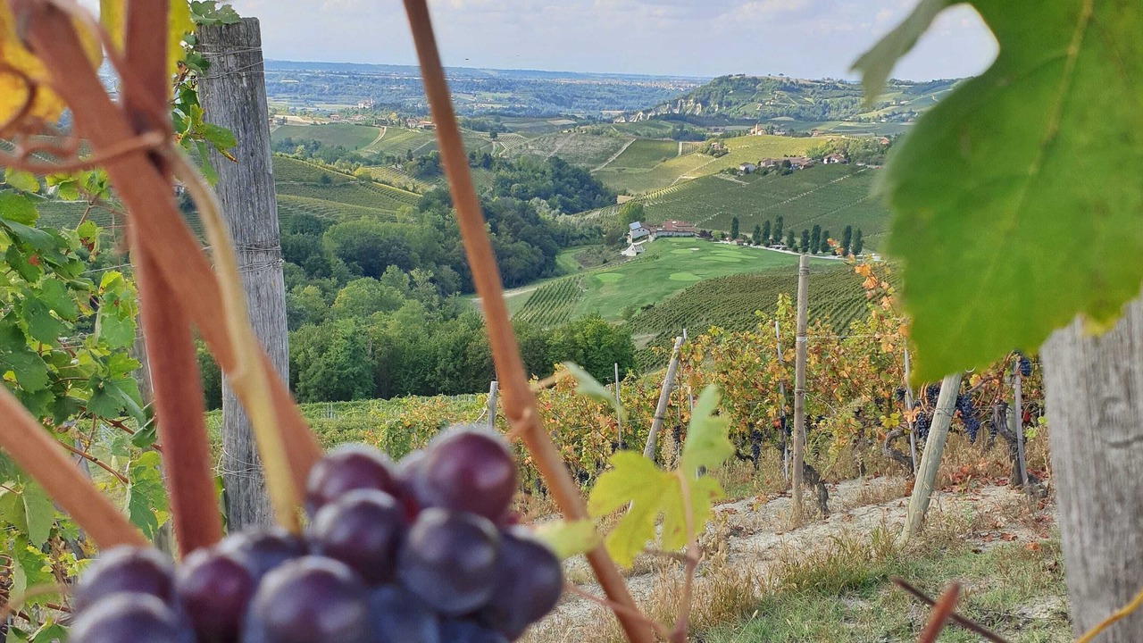 Photo of Outdoor in Bonvicino