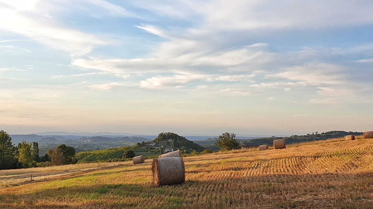 Photo of Others in Bonvicino