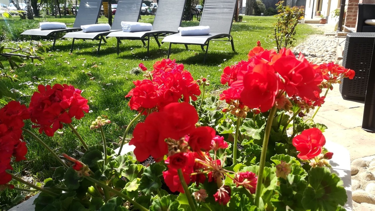 Photo of Outdoor in Castelletto Stura