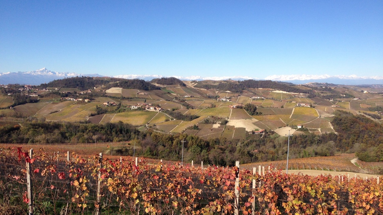 Photo of Outdoor in Roddino