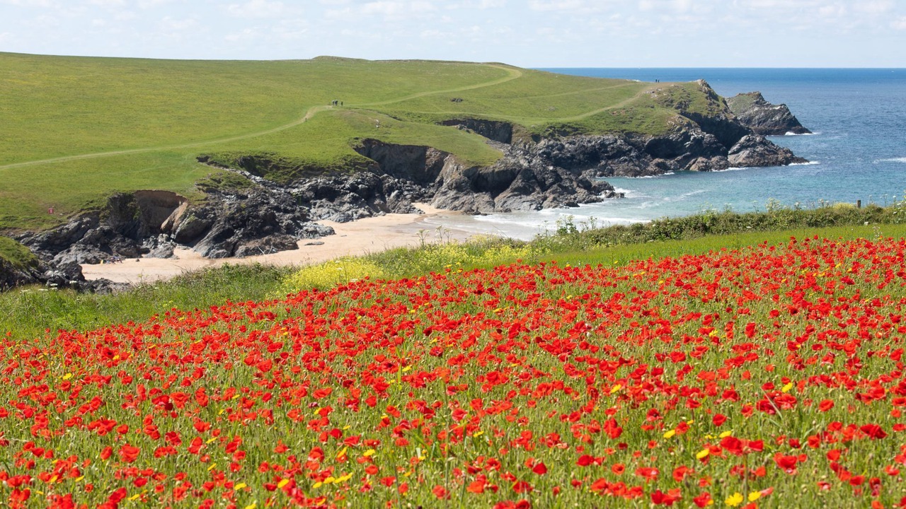 Photo of Outdoor in Crantock
