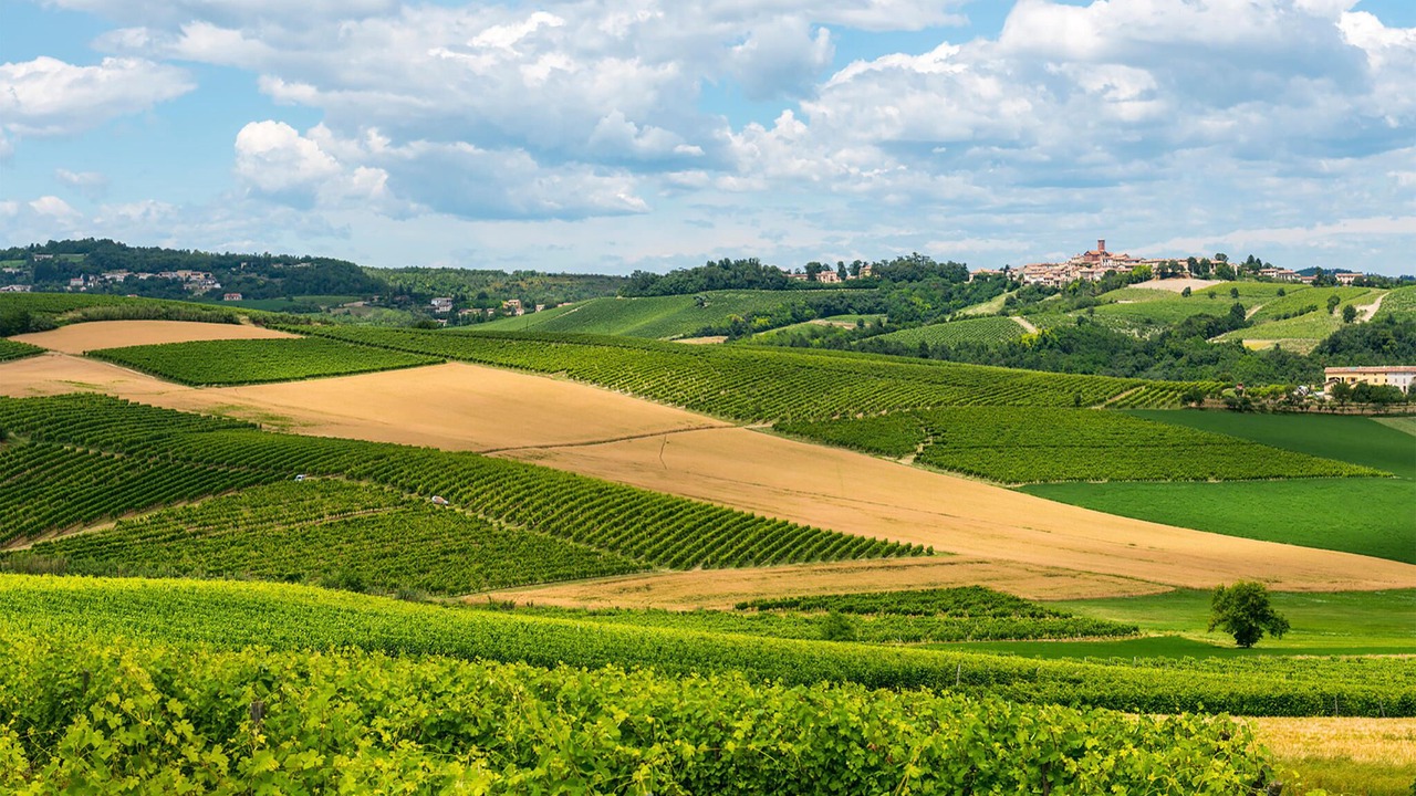 Photo of Others in Asti
