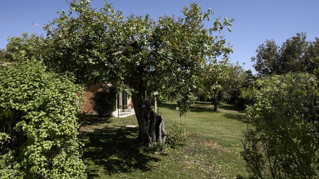 Photo of Outdoor in Modica
